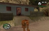 Ice Age Skins